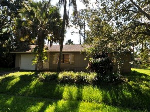 Sell your home fast even if its overgrown.